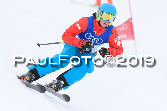 Ski Golf Masters 2019, Riesenslalom