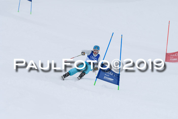 Ski Golf Masters 2019, Riesenslalom