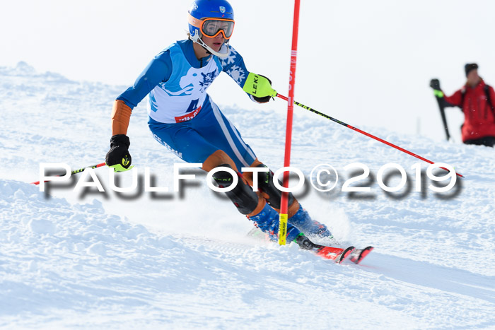 NJR Slalom Damen + Herren, Pass Thurn, 16.11.2019