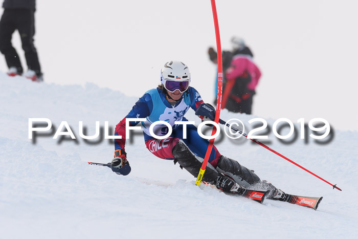 NJR Slalom Damen + Herren, Pass Thurn, 16.11.2019