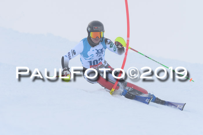 NJR Slalom Damen + Herren, Pass Thurn, 16.11.2019