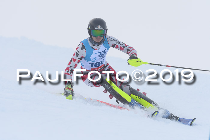 NJR Slalom Damen + Herren, Pass Thurn, 16.11.2019