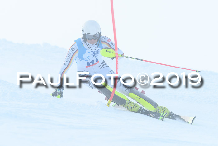 NJR Slalom Damen + Herren, Pass Thurn, 16.11.2019