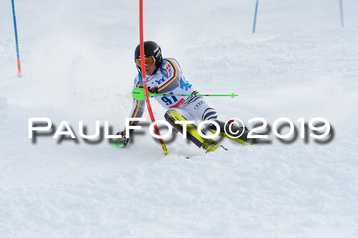 NJR Slalom Damen + Herren, Pass Thurn, 16.11.2019