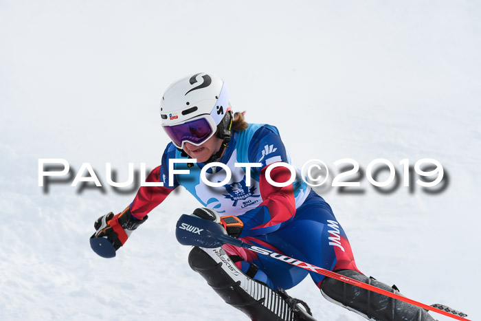 NJR Slalom Damen + Herren, Pass Thurn, 16.11.2019