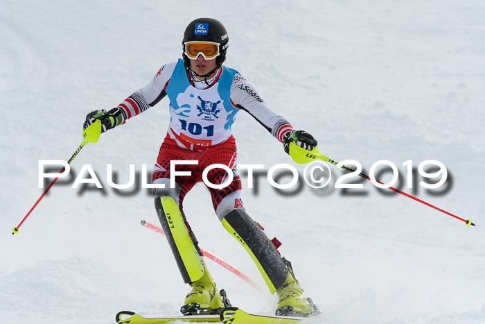 NJR Slalom Damen + Herren, Pass Thurn, 16.11.2019