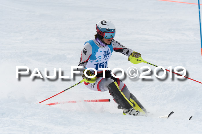 NJR Slalom Damen + Herren, Pass Thurn, 16.11.2019