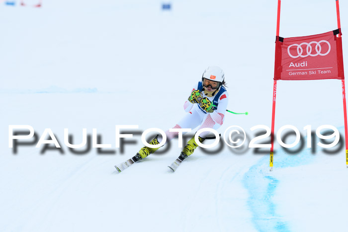 Super-G, NJC AC + FIS L+M