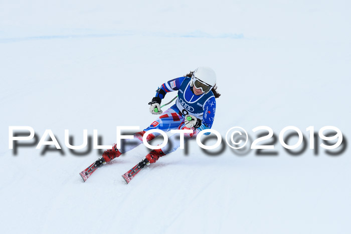 Super-G, NJC AC + FIS L+M