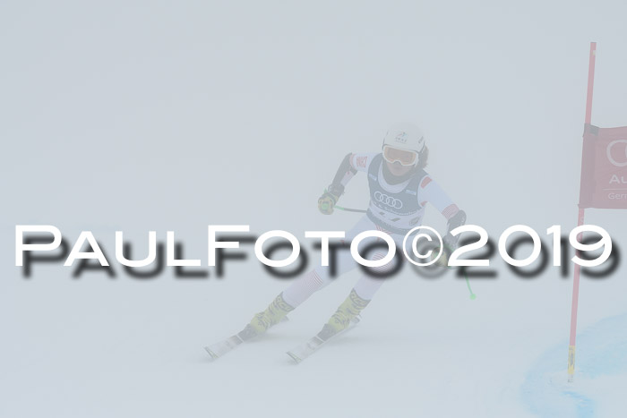 Super-G, NJC AC + FIS L+M