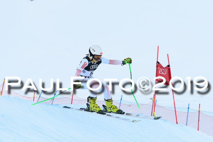 Super-G, NJC AC + FIS L+M