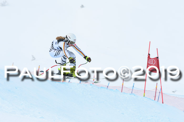 Super-G, NJC AC + FIS L+M