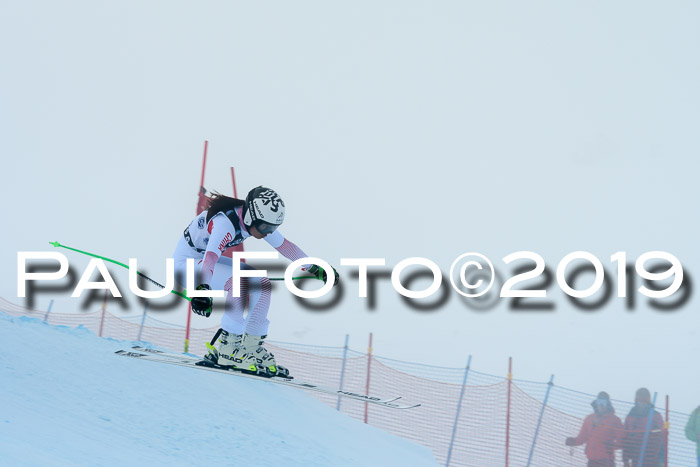 Super-G, NJC AC + FIS L+M