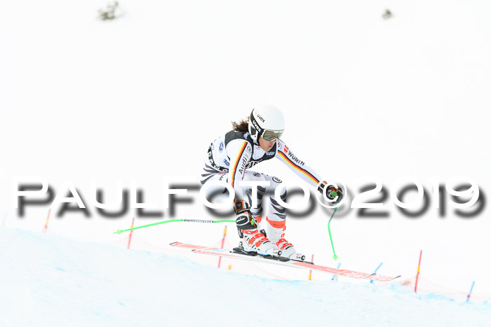 Super-G, NJC AC + FIS L+M