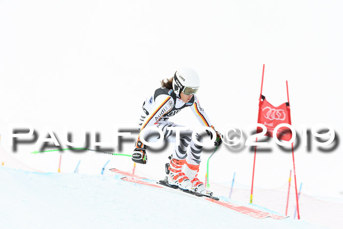 Super-G, NJC AC + FIS L+M