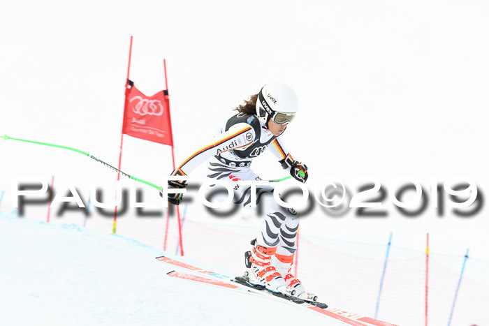 Super-G, NJC AC + FIS L+M