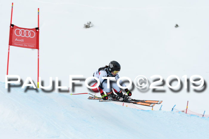 Super-G, NJC AC + FIS L+M