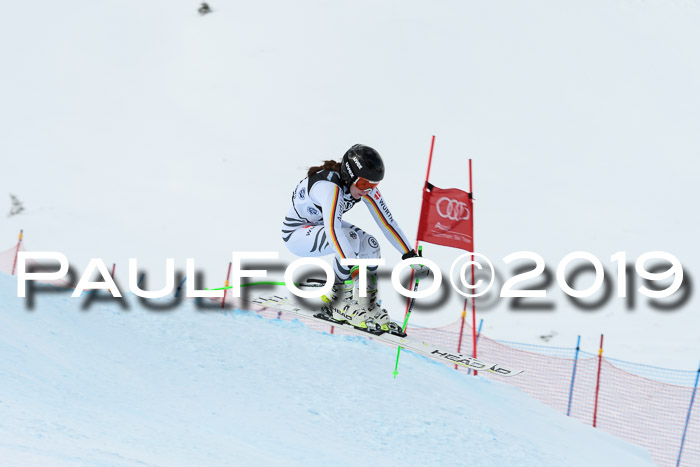 Super-G, NJC AC + FIS L+M