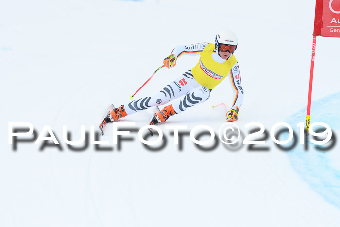 Super-G, NJC AC + FIS L+M