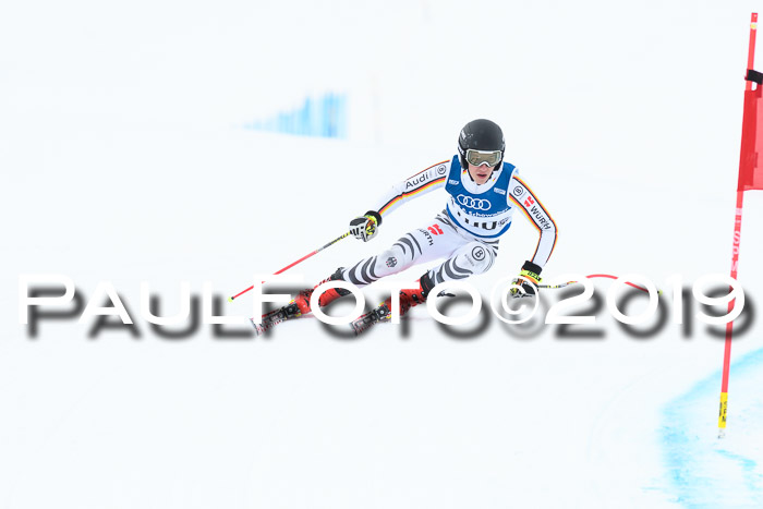 Super-G, NJC AC + FIS L+M