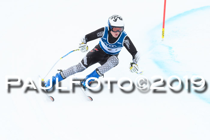 Super-G, NJC AC + FIS L+M