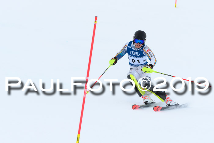 Slalom, NJC AC + FIS L+M