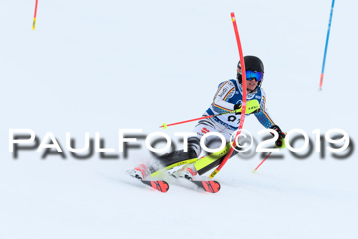 Slalom, NJC AC + FIS L+M