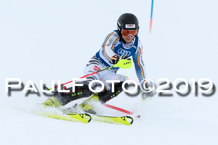 Slalom, NJC AC + FIS L+M