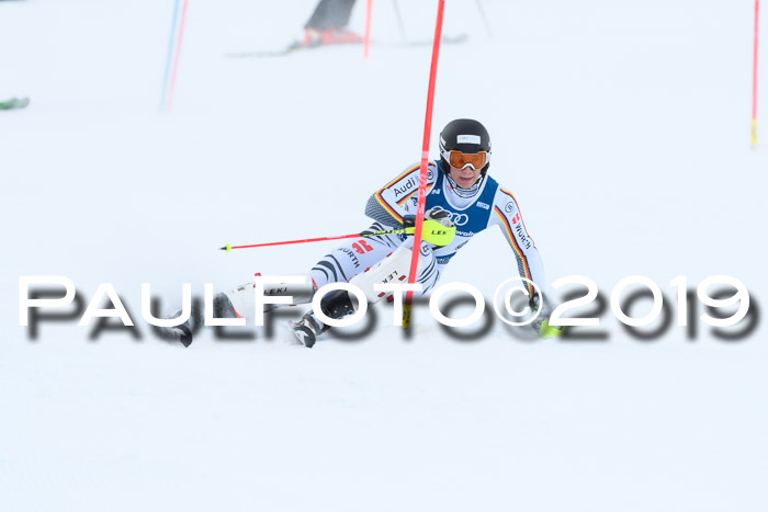 Slalom, NJC AC + FIS L+M