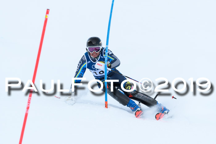 Slalom, NJC AC + FIS L+M