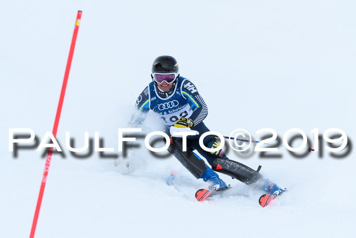 Slalom, NJC AC + FIS L+M
