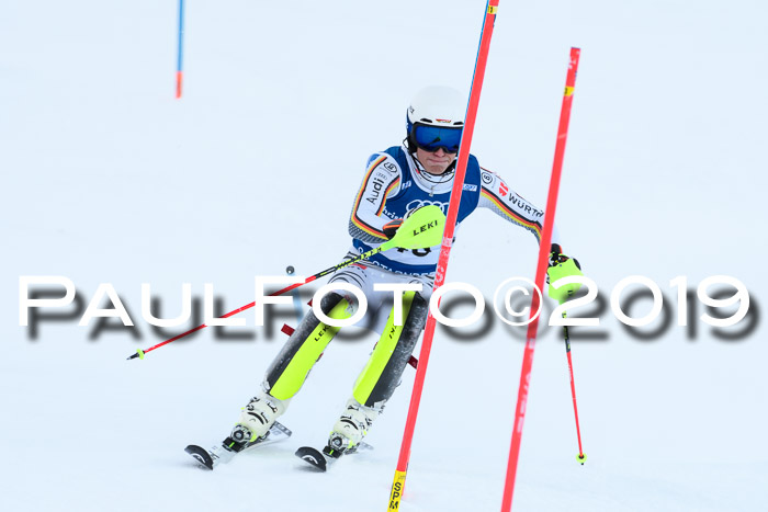 Slalom, NJC AC + FIS L+M