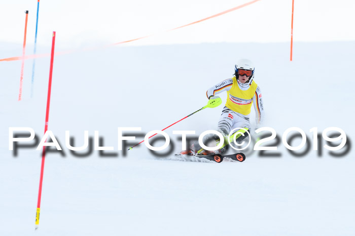 Slalom, NJC AC + FIS L+M