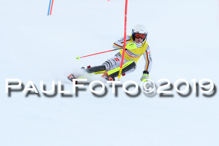 Slalom, NJC AC + FIS L+M