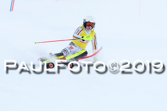 Slalom, NJC AC + FIS L+M