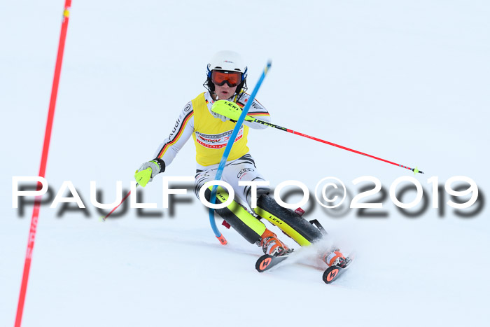 Slalom, NJC AC + FIS L+M