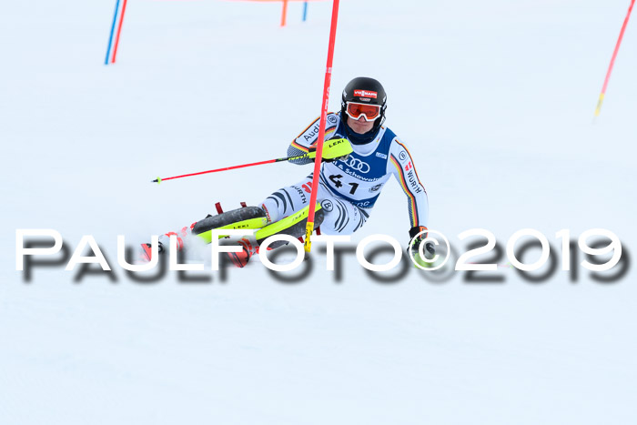 Slalom, NJC AC + FIS L+M