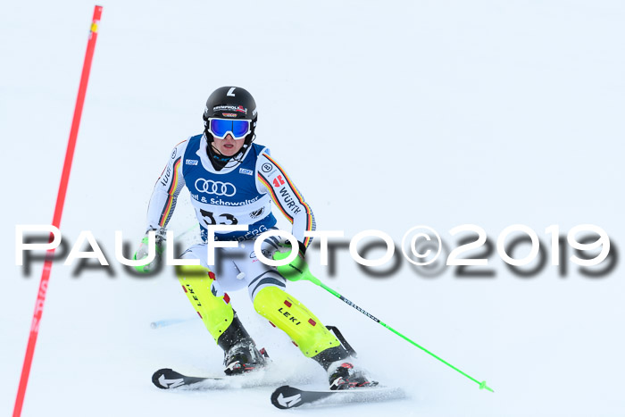 Slalom, NJC AC + FIS L+M