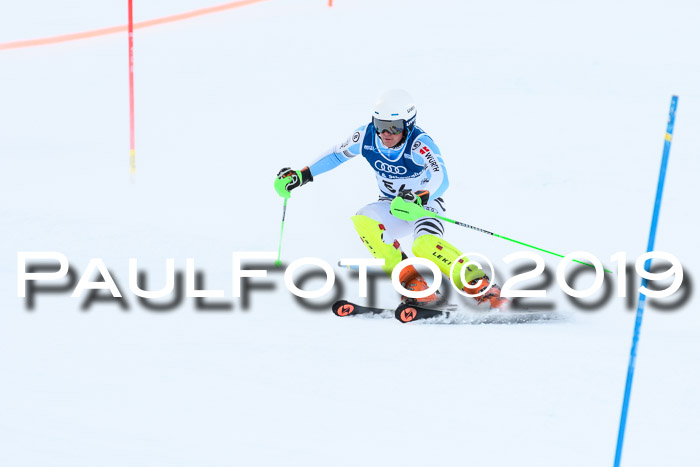 Slalom, NJC AC + FIS L+M