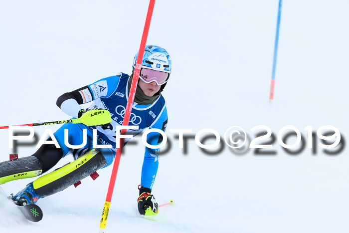 Slalom, NJC AC + FIS L+M