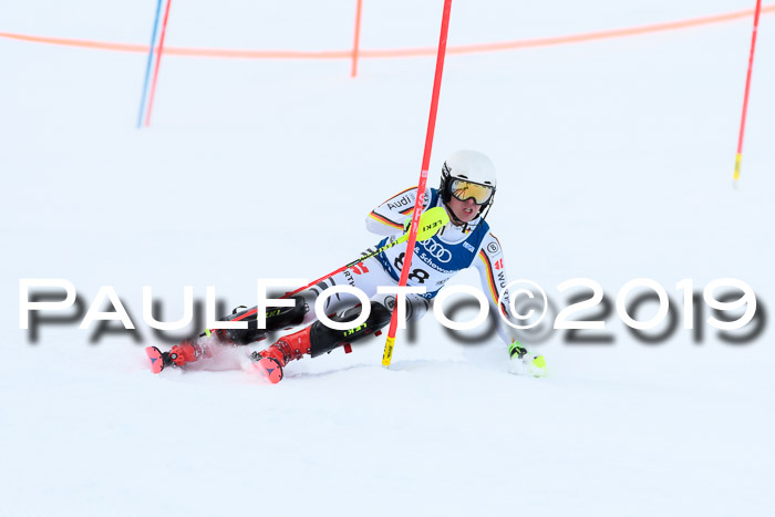 Slalom, NJC AC + FIS L+M