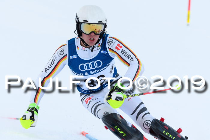 Slalom, NJC AC + FIS L+M