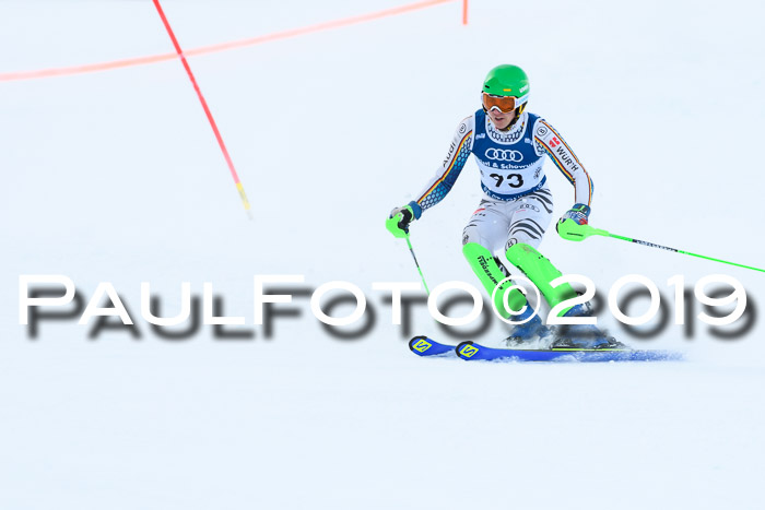 Slalom, NJC AC + FIS L+M