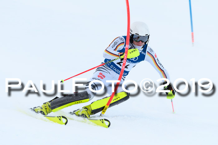 Slalom, NJC AC + FIS L+M