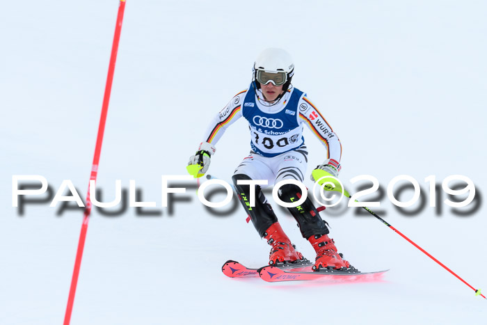 Slalom, NJC AC + FIS L+M