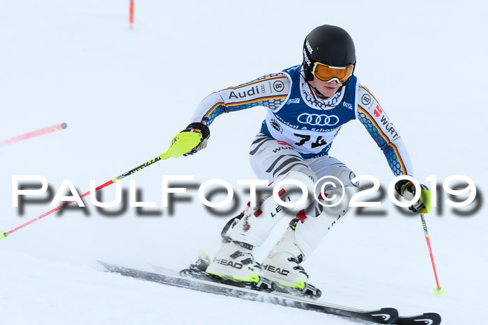 Slalom, NJC AC + FIS L+M