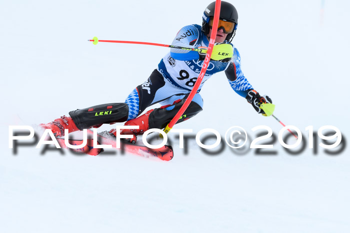 Slalom, NJC AC + FIS L+M