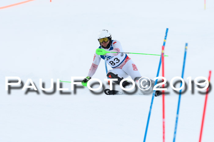 Slalom, NJC AC + FIS L+M