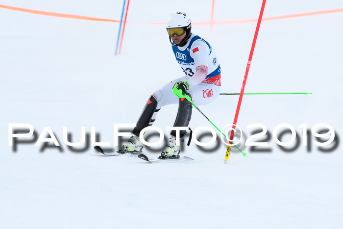 Slalom, NJC AC + FIS L+M