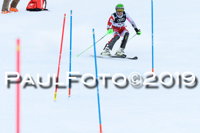 Slalom, NJC AC + FIS L+M